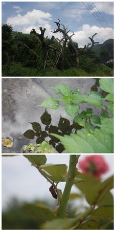 美丽的一瞬 美丽的一瞬