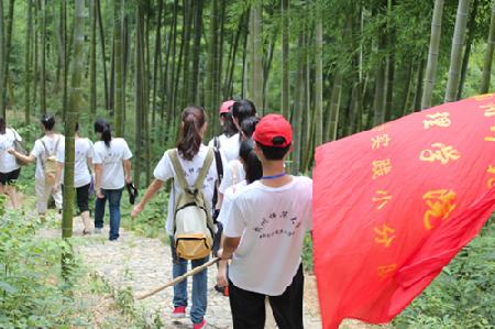 队员们在竹林间行进 队员们在竹林间行进