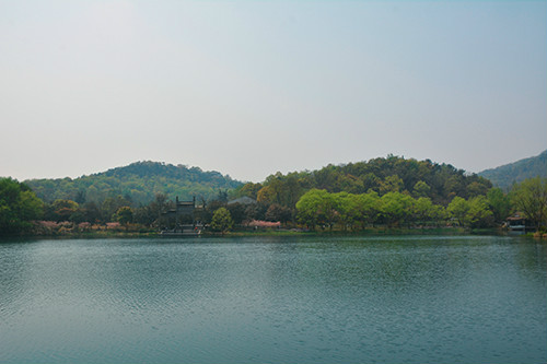 风景
